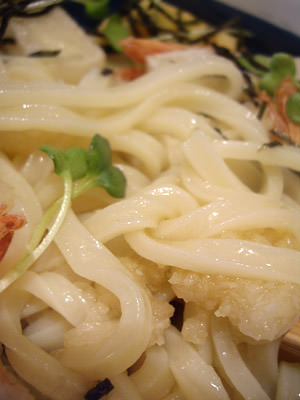 讃岐うどん志成
