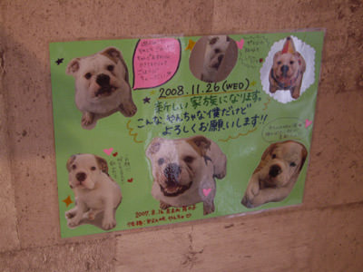 アバクロ