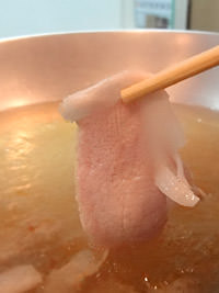 なづ菜