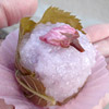 きだね家